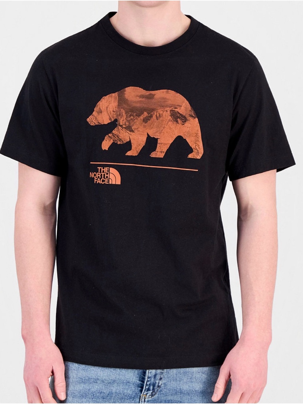 The North Face Men's Evolution MTN Bear Short Sleeve Tee Sz M NWT